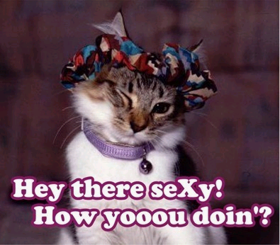 Hello! Myspace Comments