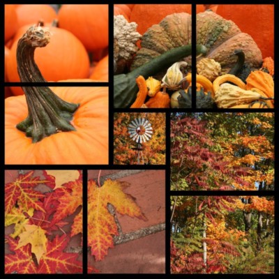 Thanksgiving Myspace Comments