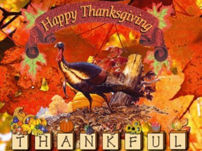Thanksgiving Myspace Comments