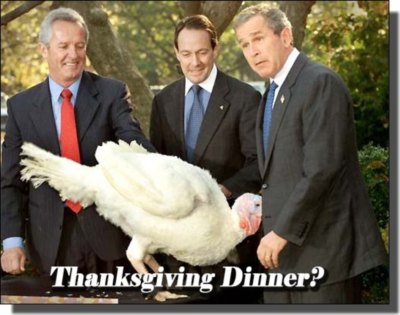 Thanksgiving Myspace Comments