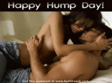 Days - Hump Day Myspace Comments