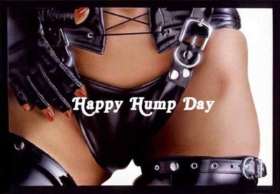 Days - Hump Day Myspace Comments