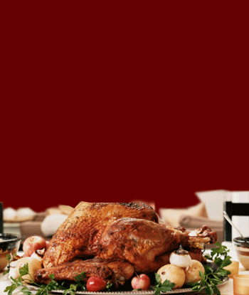 Thanksgiving Myspace Comments