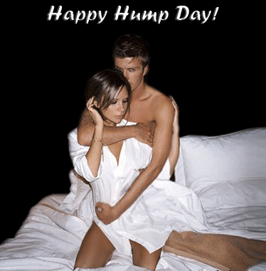Days - Hump Day Myspace Comments