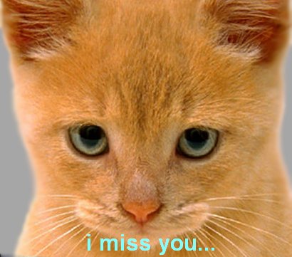 Miss You Myspace Comments