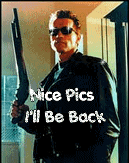 Picture Comments Myspace Comments