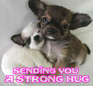Hugs Myspace Comments