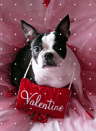 Valentine's Day Myspace Comments