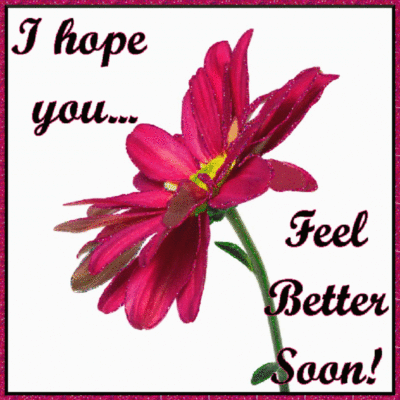 feeling better friends flowers quotes