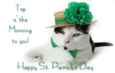St. Patrick's Day Myspace Comments