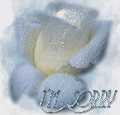 Sorry Myspace Comments