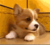 Miss You Myspace Comments