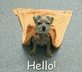 Hello! Myspace Comments