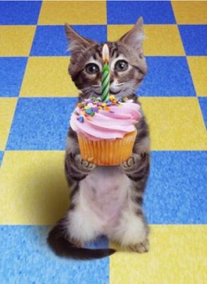 Happy Birthday Myspace Comments