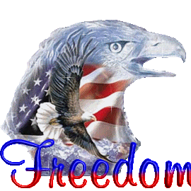 Veterans Day Myspace Comments