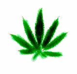 Alcohol&Drugs Myspace Comments